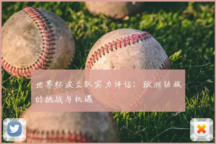 世界杯波兰队实力评估:欧洲劲旅的挑战与机遇